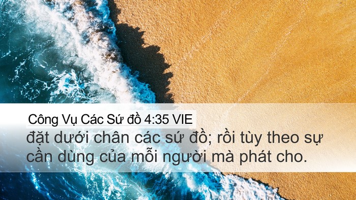 Công Vụ Các Sứ đồ 4:35 VIE Bible Verse Image