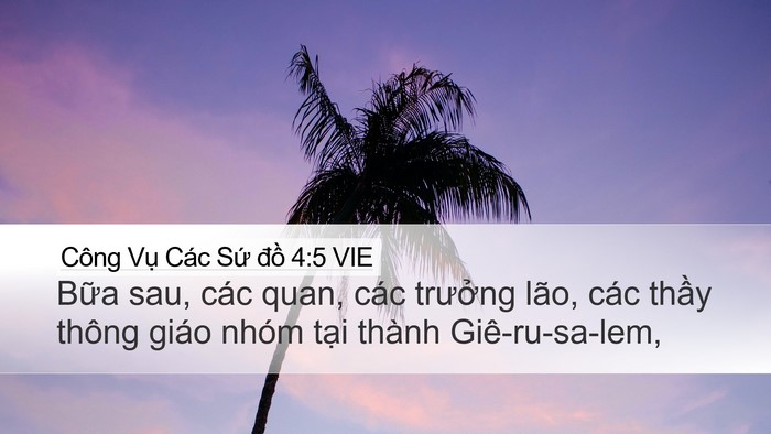 Công Vụ Các Sứ đồ 4:5 VIE Bible Verse Image