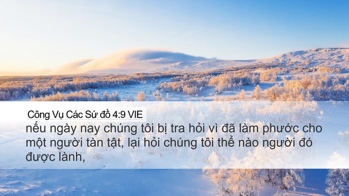 Công Vụ Các Sứ đồ 4:9 VIE Bible Verse Image