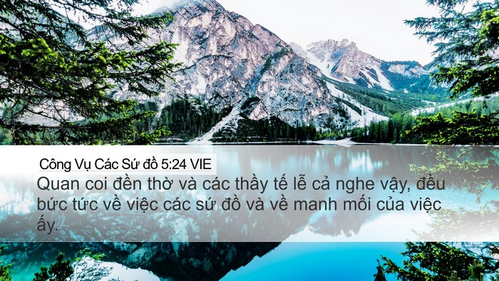 Công Vụ Các Sứ đồ 5:24 VIE Bible Verse Image