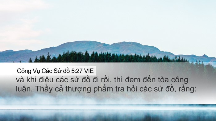 Công Vụ Các Sứ đồ 5:27 VIE Bible Verse Image