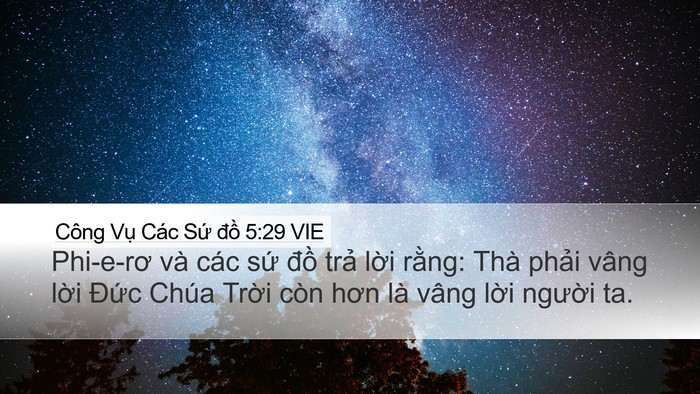 Công Vụ Các Sứ đồ 5:29 VIE Bible Verse Image