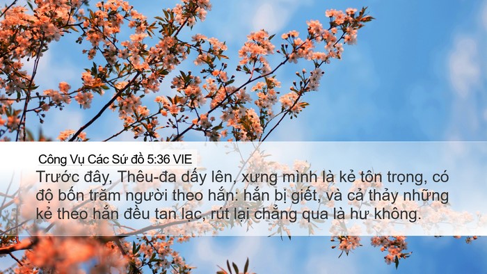 Công Vụ Các Sứ đồ 5:36 VIE Bible Verse Image