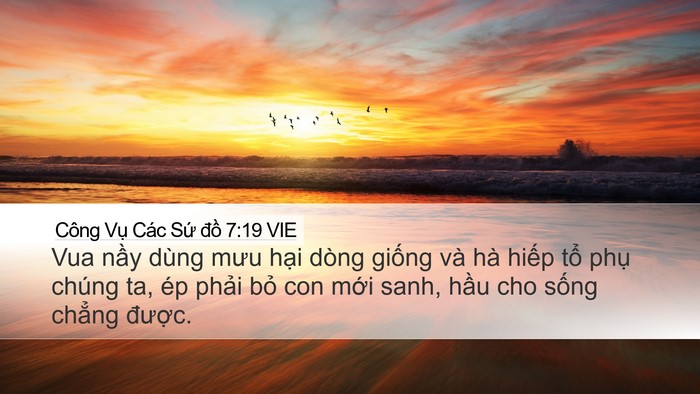 Công Vụ Các Sứ đồ 7:19 VIE Bible Verse Image