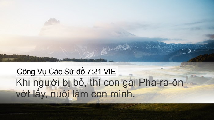 Công Vụ Các Sứ đồ 7:21 VIE Bible Verse Image