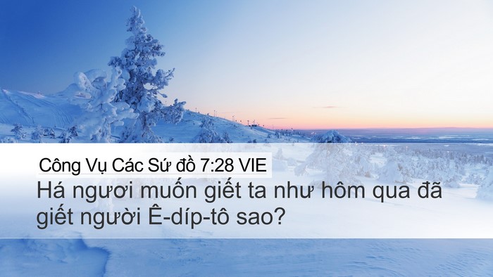 Công Vụ Các Sứ đồ 7:28 VIE Bible Verse Image