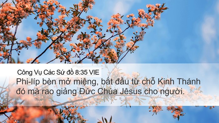 Công Vụ Các Sứ đồ 8:35 VIE Bible Verse Image
