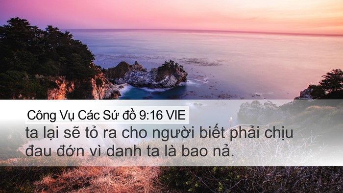 Công Vụ Các Sứ đồ 9:16 VIE Bible Verse Image