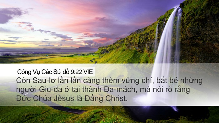 Công Vụ Các Sứ đồ 9:22 VIE Bible Verse Image
