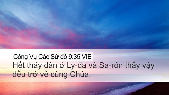 Công Vụ Các Sứ đồ 9:35 VIE Bible Verse Image