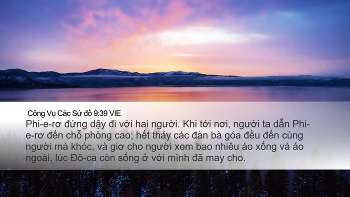 Công Vụ Các Sứ đồ 9:39 VIE Bible Verse Image
