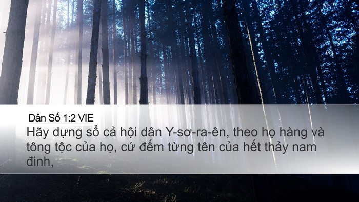 Dân Số 1:2 VIE Desktop Wallpaper - Hãy dựng sổ cả hội dân Y-sơ-ra-ên, - Desktop Bible Verse Wallpaper