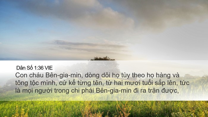 Dân Số 1:36 VIE Bible Verse Image