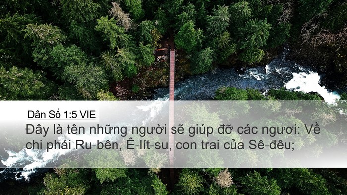 Dân Số 1:5 VIE Bible Verse Image