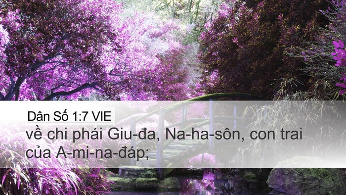 Dân Số 1:7 VIE Bible Verse Image