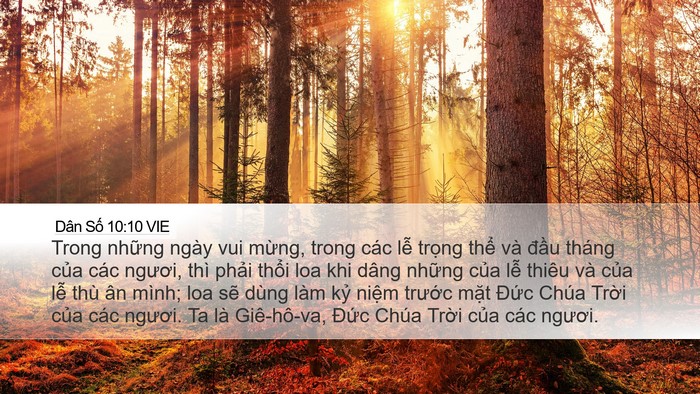 Dân Số 10:10 VIE Bible Verse Image