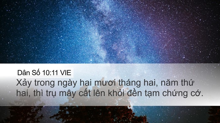 Dân Số 10:11 VIE Bible Verse Image