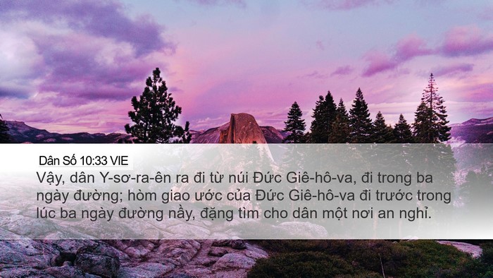 Dân Số 10:33 VIE Bible Verse Image