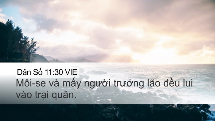 Dân Số 11:30 VIE Desktop Wallpaper - Môi-se và mấy người trưởng lão đều - Desktop Bible Verse Wallpaper