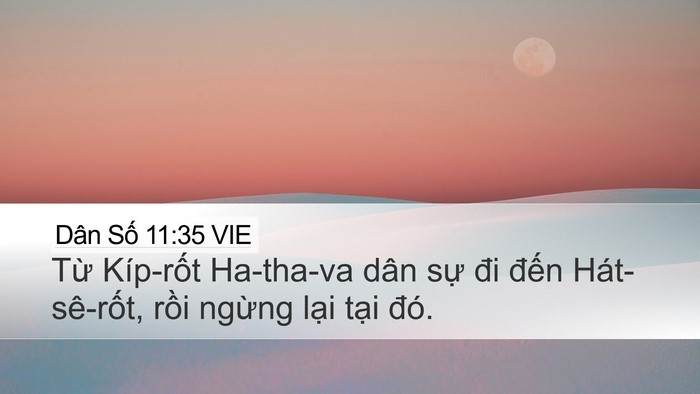 Dân Số 11:35 VIE Bible Verse Image
