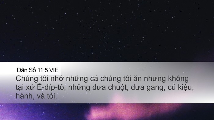 Dân Số 11:5 VIE Desktop Wallpaper - Chúng tôi nhớ những cá chúng tôi ăn - Desktop Bible Verse Wallpaper