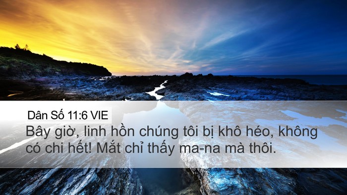 Dân Số 11:6 VIE Bible Verse Image