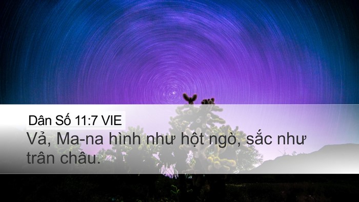 Dân Số 11:7 VIE Desktop Wallpaper - Vả, Ma-na hình như hột ngò, sắc như - Desktop Bible Verse Wallpaper