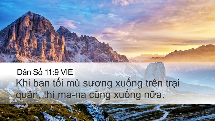 Dân Số 11:9 VIE Desktop Wallpaper - Khi ban tối mù sương xuống trên trại - Desktop Bible Verse Wallpaper