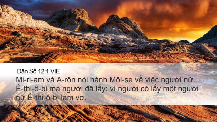 Dân Số 12:1 VIE Bible Verse Image