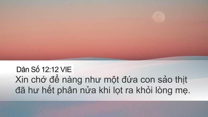 Dân Số 12:12 VIE Desktop Wallpaper - Xin chớ để nàng như một đứa con sảo - Desktop Bible Verse Wallpaper