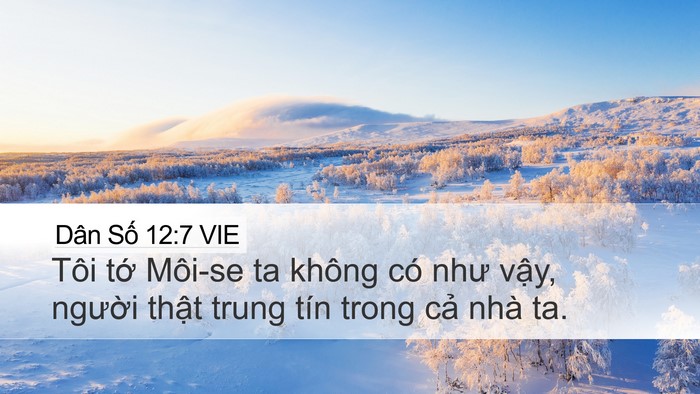 Dân Số 12:7 VIE Bible Verse Image