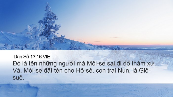 Dân Số 13:16 VIE Bible Verse Image