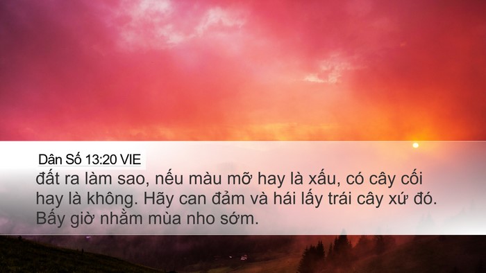Dân Số 13:20 VIE Desktop Wallpaper - đất ra làm sao, nếu màu mỡ hay là - Desktop Bible Verse Wallpaper