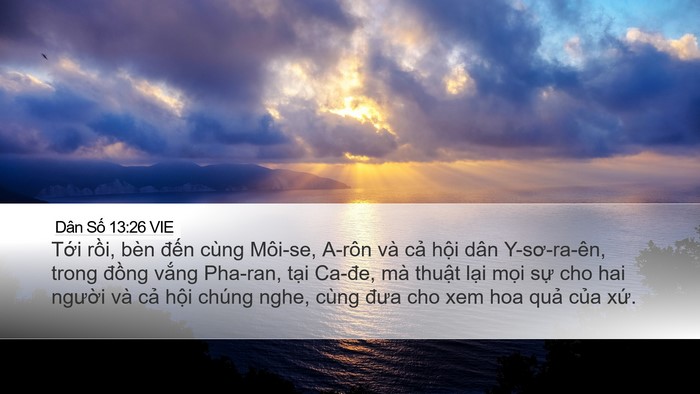 Dân Số 13:26 VIE Bible Verse Image