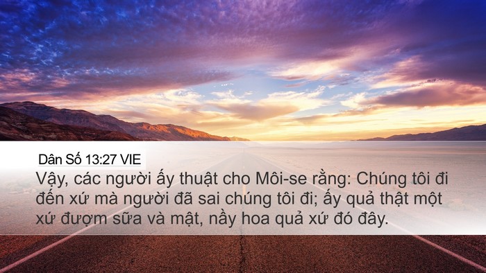 Dân Số 13:27 VIE Bible Verse Image