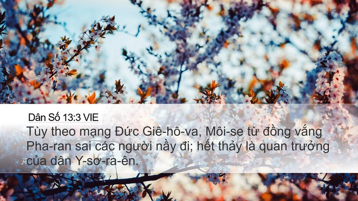 Dân Số 13:3 VIE Bible Verse Image