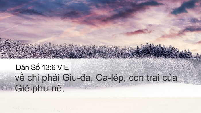 Dân Số 13:6 VIE Bible Verse Image