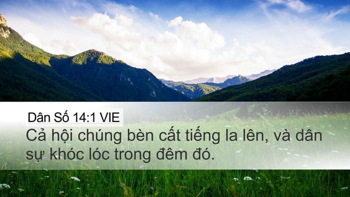 Dân Số 14:1 VIE Bible Verse Image