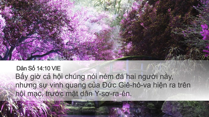 Dân Số 14:10 VIE Desktop Wallpaper - Bấy giờ cả hội chúng nói ném đá hai - Desktop Bible Verse Wallpaper