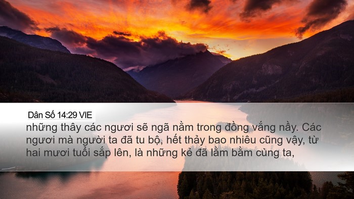 Dân Số 14:29 VIE Bible Verse Image