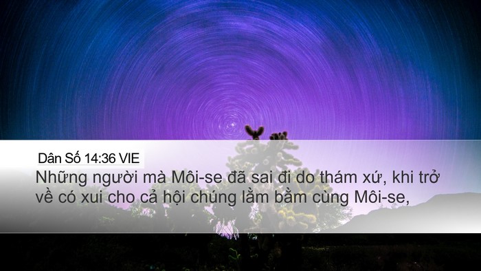 Dân Số 14:36 VIE Bible Verse Image