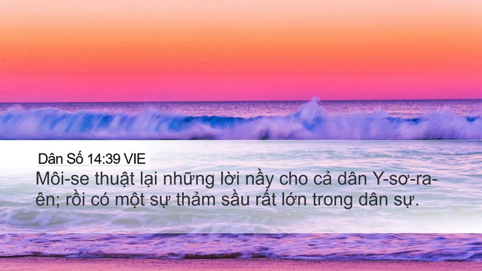 Dân Số 14:39 VIE Desktop Wallpaper - Môi-se thuật lại những lời nầy cho - Desktop Bible Verse Wallpaper