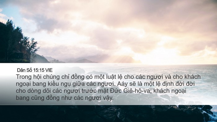Dân Số 15:15 VIE Desktop Wallpaper - Trong hội chúng chỉ đồng có một luật - Desktop Bible Verse Wallpaper