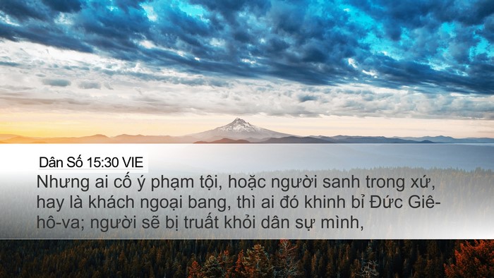 Dân Số 15:30 VIE Desktop Wallpaper - Nhưng ai cố ý phạm tội, hoặc người - Desktop Bible Verse Wallpaper