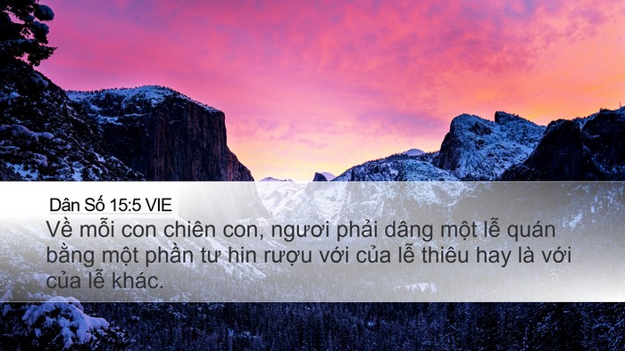 Dân Số 15:5 VIE Bible Verse Image