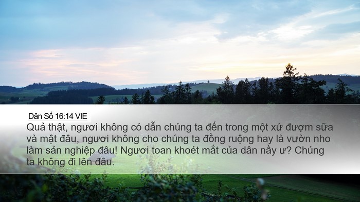 Dân Số 16:14 VIE Bible Verse Image