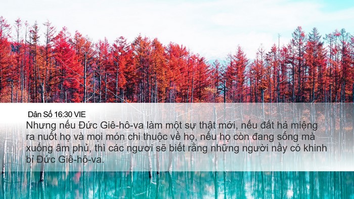 Dân Số 16:30 VIE Bible Verse Image