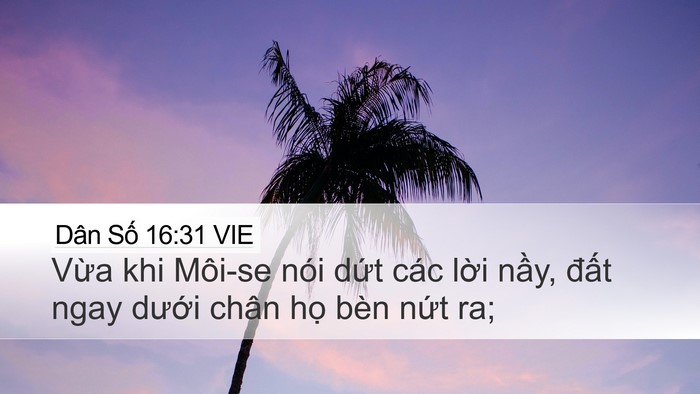 Dân Số 16:31 VIE Bible Verse Image