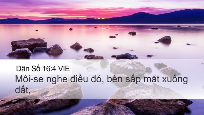 Dân Số 16:4 VIE Bible Verse Image