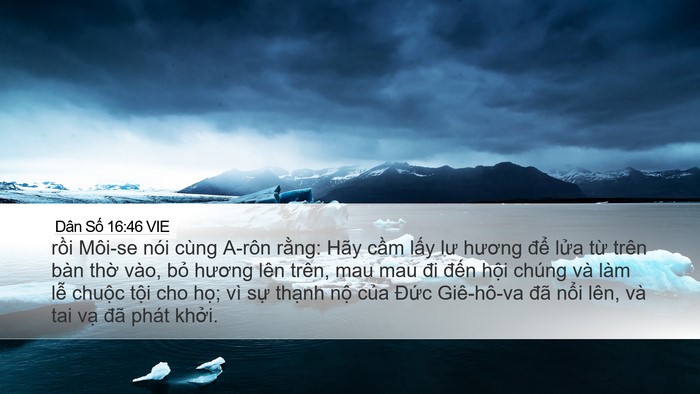 Dân Số 16:46 VIE Bible Verse Image